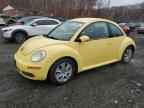 2008 VOLKSWAGEN Beetle