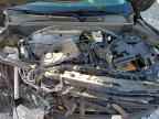 2024 CHEVROLET Trailblazer