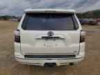 2019 TOYOTA 4Runner