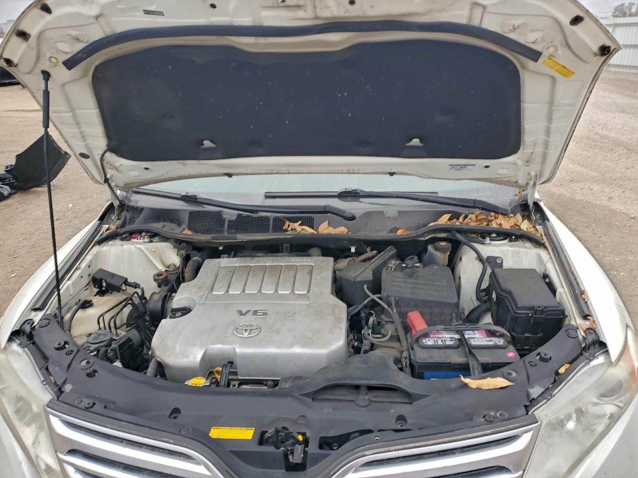 2010 TOYOTA VENZA