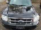 2009 FORD ESCAPE