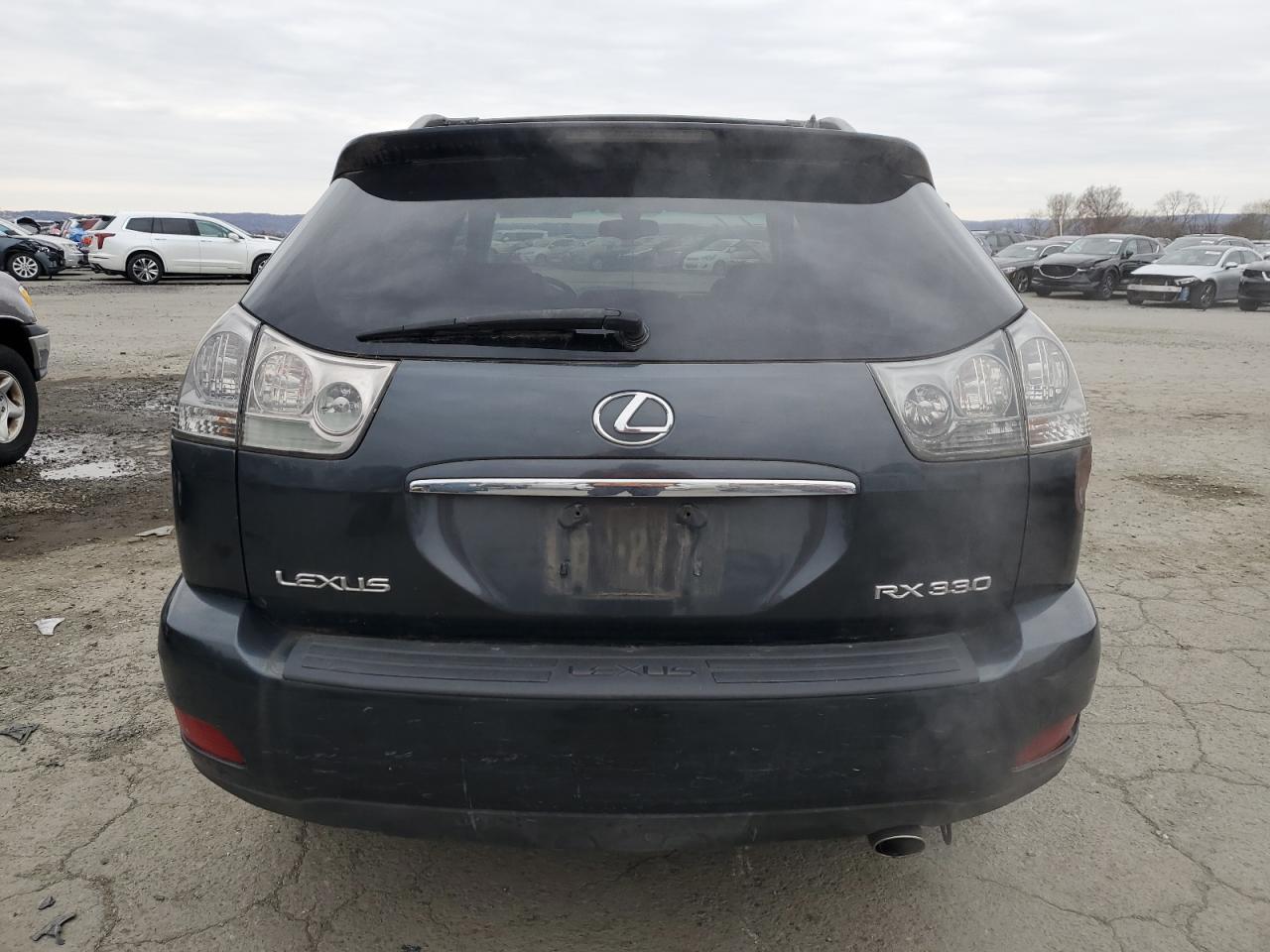 2004 LEXUS Rx 330