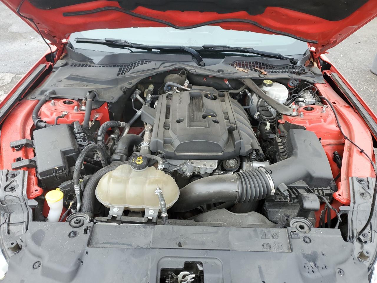 2019 FORD MUSTANG