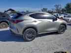 2023 LEXUS NX 350