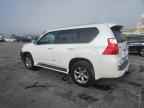 2013 LEXUS GX 460