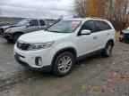 2014 KIA SORENTO