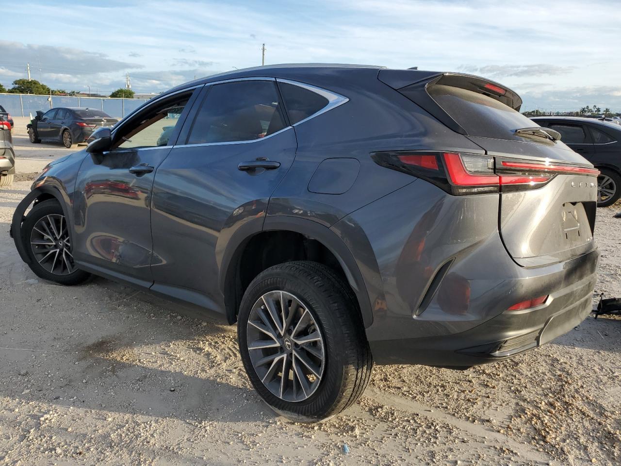 2025 LEXUS NX 250