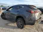 2025 LEXUS NX 250