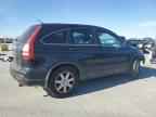 2009 HONDA CR-V