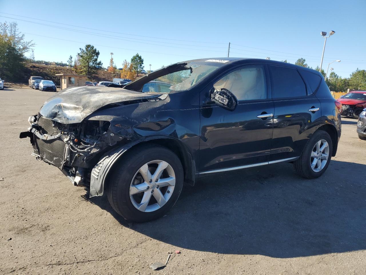 2010 NISSAN MURANO