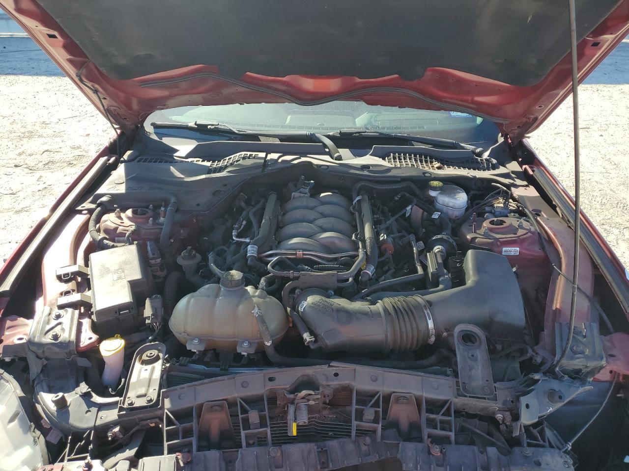 2019 FORD MUSTANG
