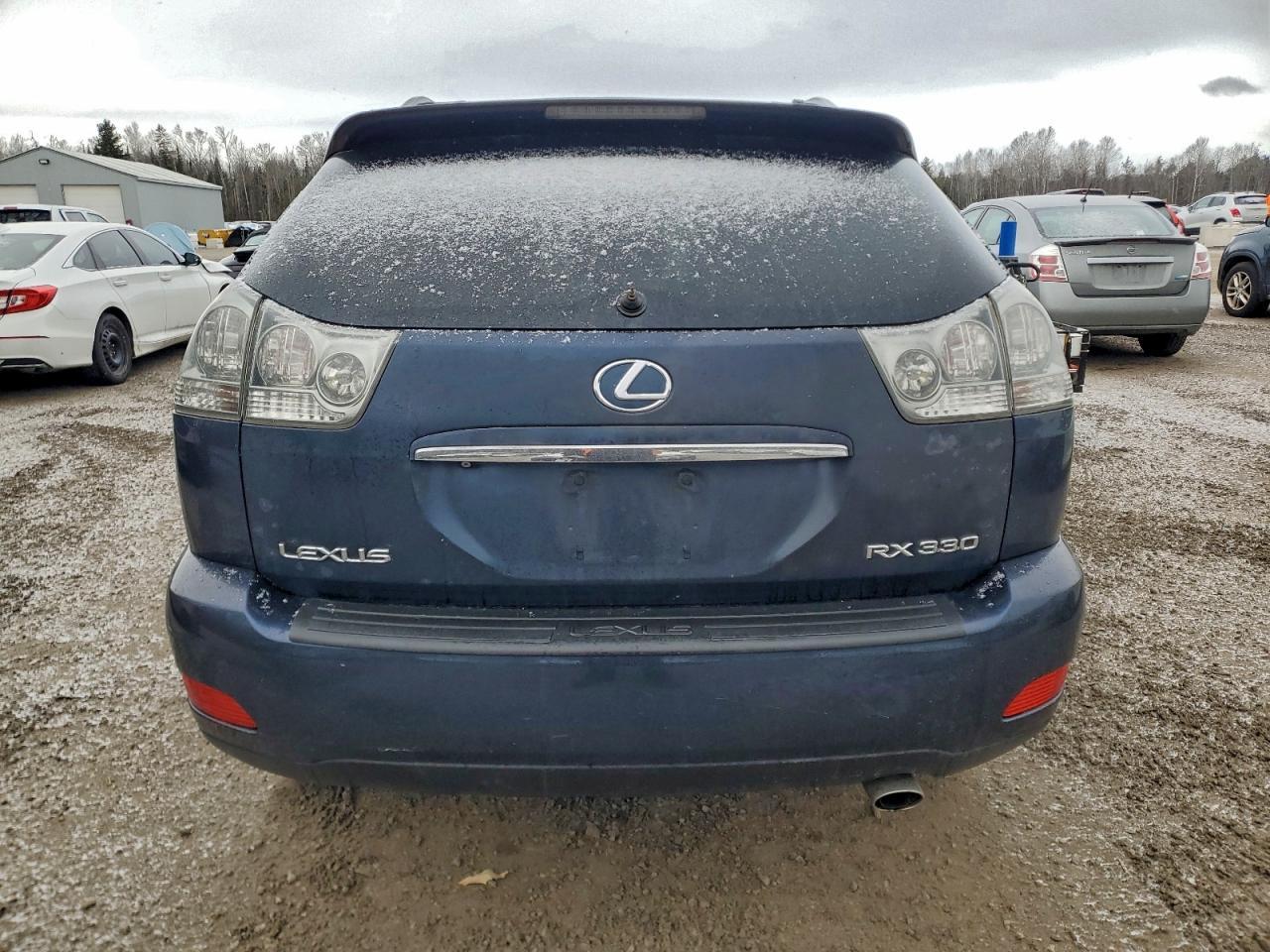2004 LEXUS Rx 330