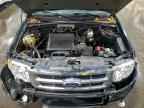 2010 FORD ESCAPE