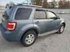 2012 FORD Escape Hybrid