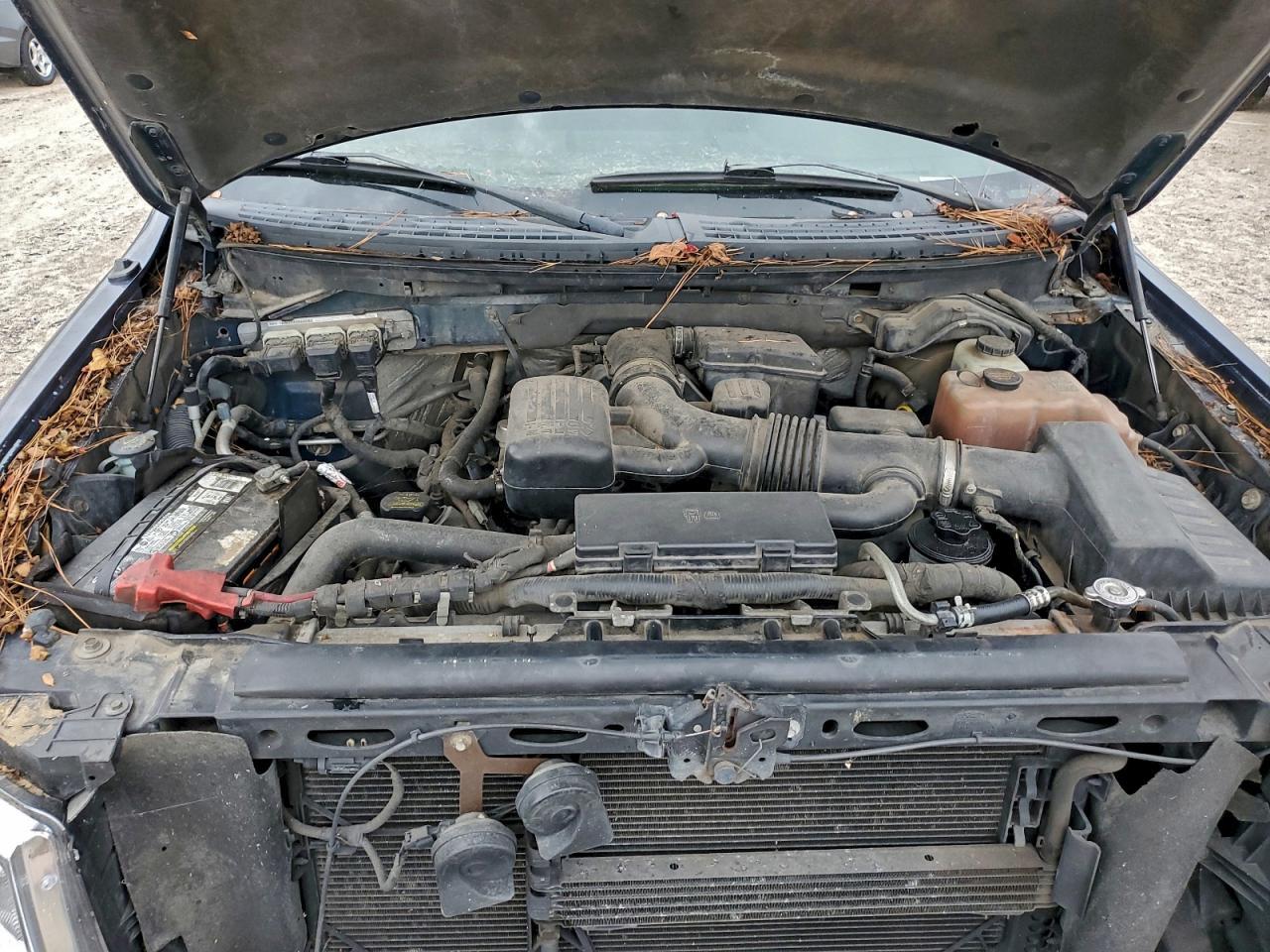 2010 FORD F-150