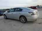 2014 NISSAN Maxima