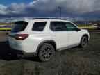 2024 HONDA PILOT