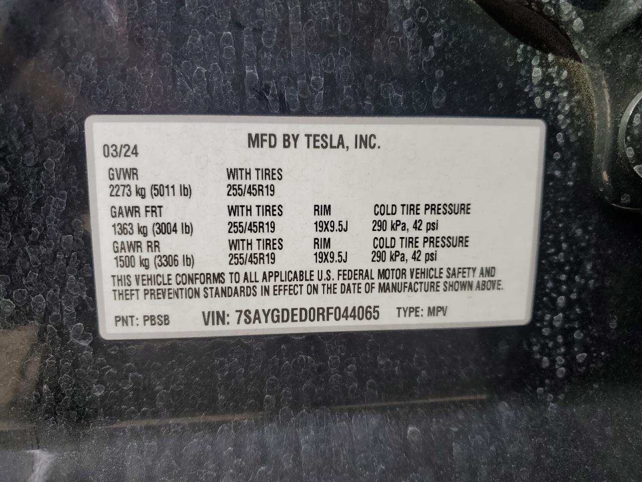 2024 TESLA MODEL Y
