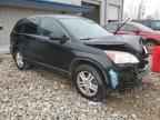 2010 HONDA CR-V