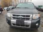 2009 FORD ESCAPE