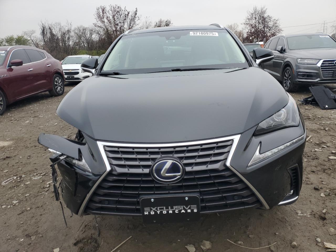 2019 LEXUS NX 300H