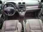 2010 HONDA CR-V