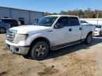 2009 FORD F-150