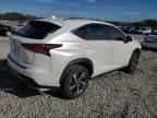 2021 LEXUS Nx