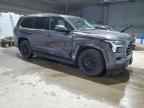 2023 TOYOTA Sequoia
