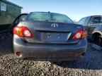 2009 TOYOTA COROLLA