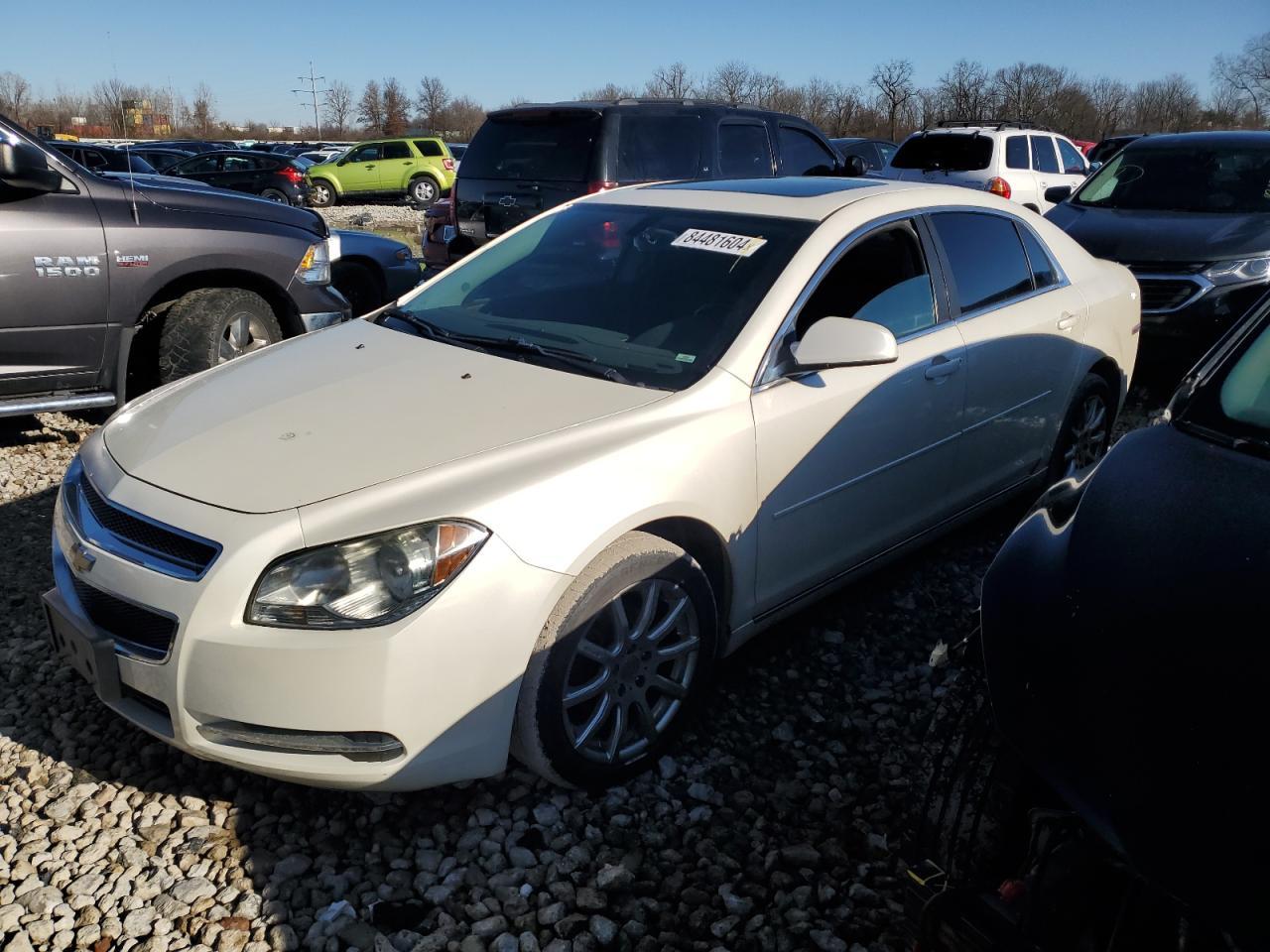 2010 CHEVROLET MALIBU