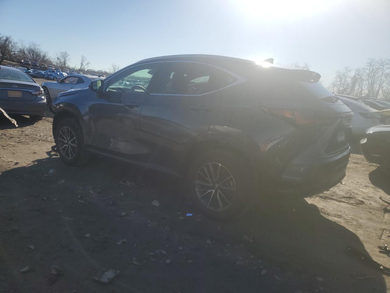 2024 LEXUS Nx
