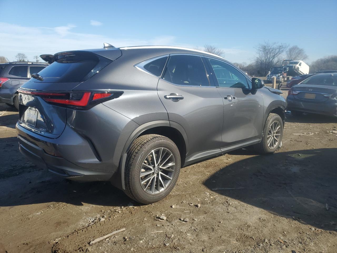 2024 LEXUS Nx