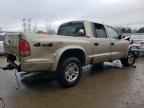 2003 DODGE Dakota