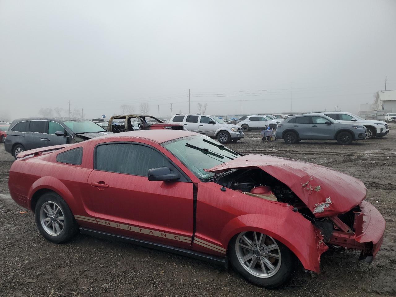 2005 FORD MUSTANG