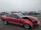 2005 FORD MUSTANG