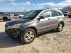 2010 HONDA CR-V
