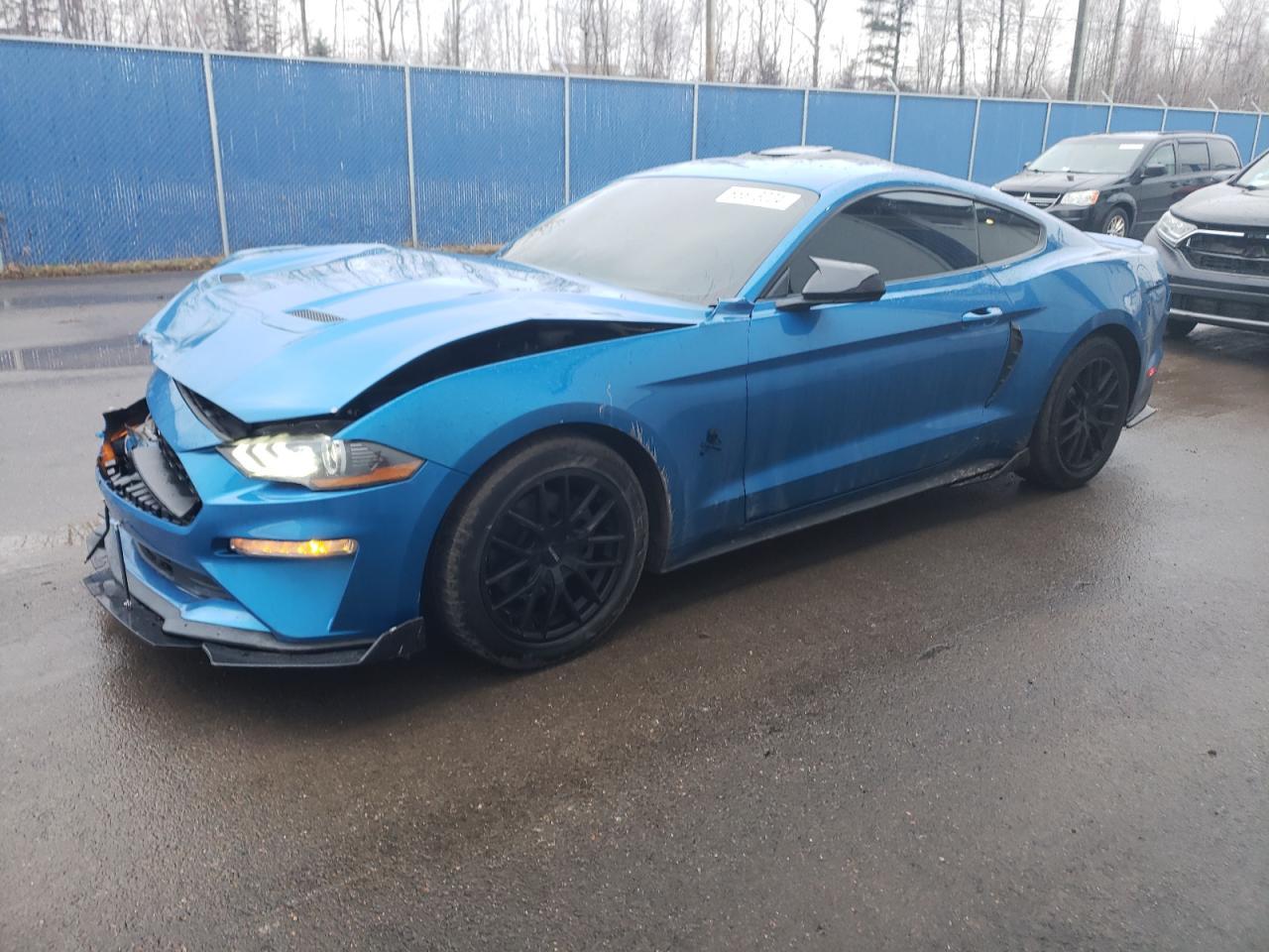 2019 FORD MUSTANG
