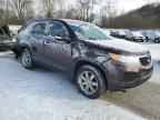 2013 KIA SORENTO