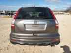 2010 HONDA CR-V