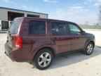2013 HONDA PILOT
