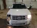 2010 FORD ESCAPE