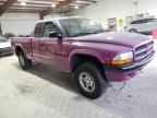 1997 DODGE Dakota