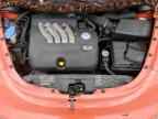 2003 VOLKSWAGEN Beetle