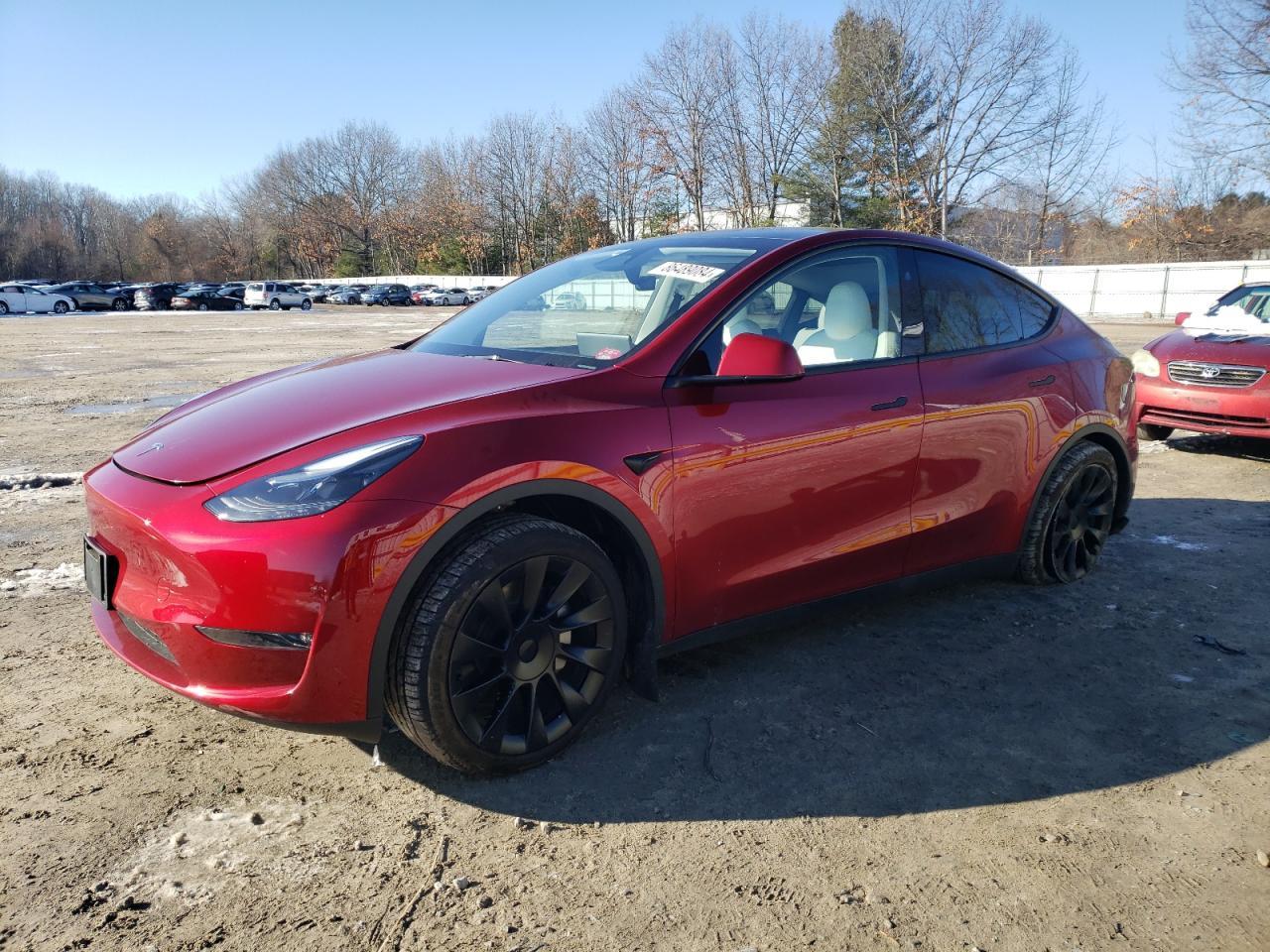2024 TESLA MODEL Y