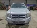 2009 FORD ESCAPE