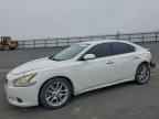 2014 NISSAN Maxima