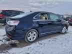 2010 LEXUS HS 250h