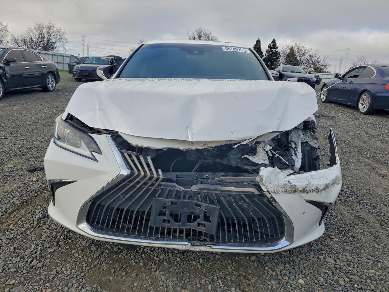 2019 LEXUS ES 300H