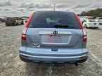 2010 HONDA CR-V